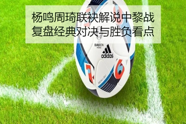 杨鸣周琦联袂解说中黎战 复盘经典对决与胜负看点
